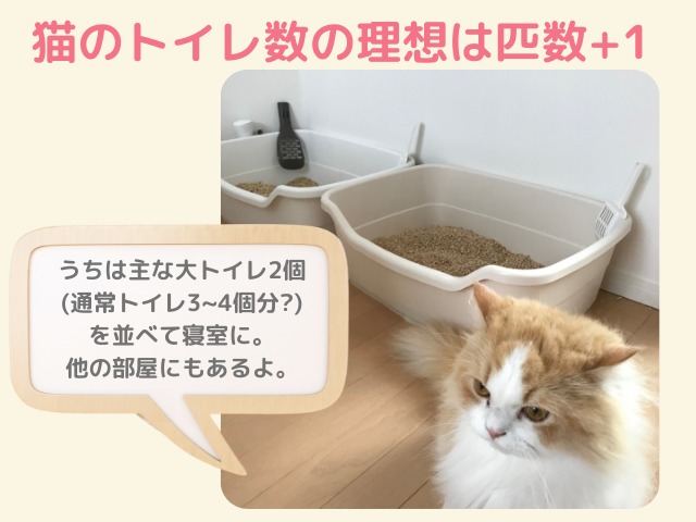 猫のトイレの理想の数は匹数+１であることを解説する画像