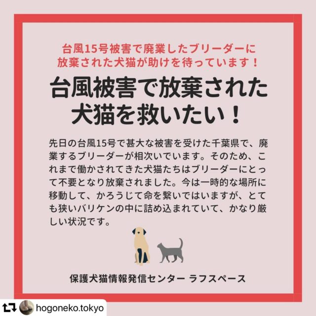 調布の保護犬猫情報センターラフスペースで台風被害で放棄された犬猫を救いたいというメッセージ画像