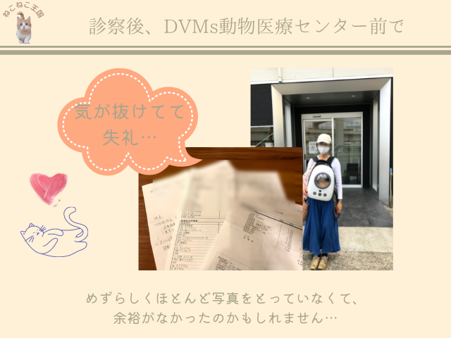 DVMs動物医療センターの正面で撮影した写真と一連の診断書・領収書画像