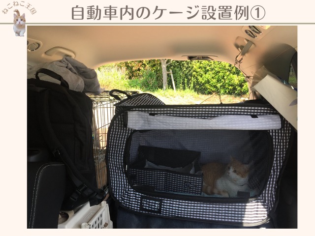 車内に猫用の猫壱折りたたみケージを設置して猫が入っている画像。