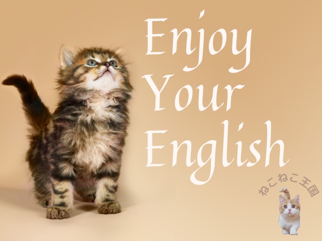 英語を楽しんで！というまとめ。猫の画像入り