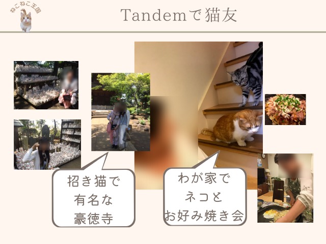 Tandemアプリを通して猫友さんを探したことを説明する画像