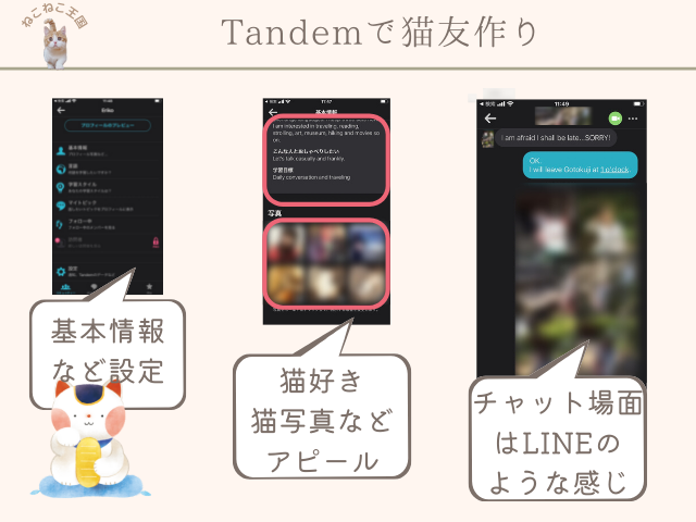 Tandemアプリの設定画面や自己紹介欄に猫好きをアピールしている画像