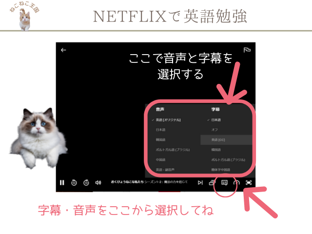 NETFLIXで字幕と音声の設定を英語や日本語に変更することを説明する画像