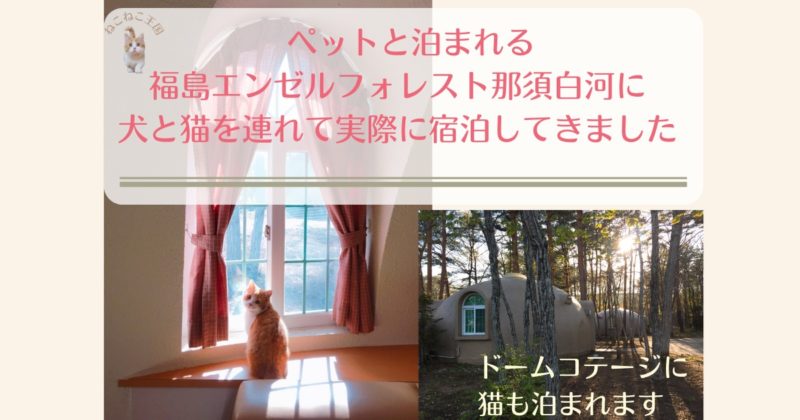 ペットと泊まれる福島エンゼルフォレスト那須白河に犬と猫を連れて実際に宿泊してきました