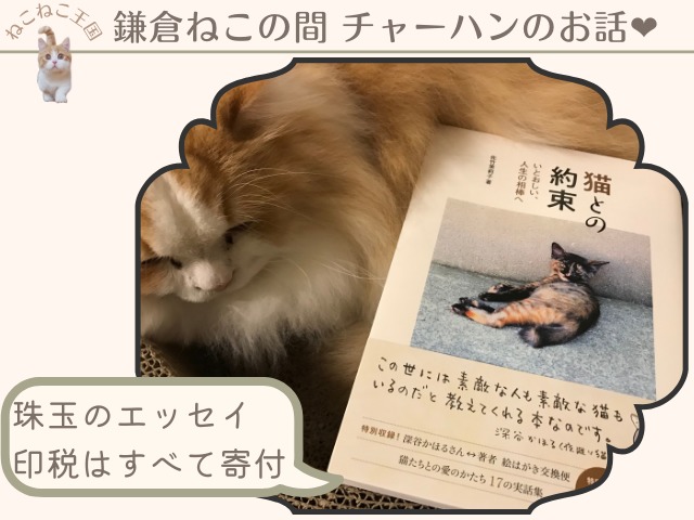 鎌倉ねこの間チャーハンのお話も収録された「猫との約束」佐竹茉莉子さんの著を紹介する画像