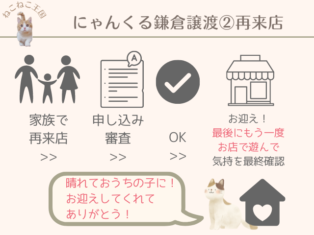にゃんくる鎌倉で猫を譲渡してもらうときの手順、流れを説明する画像