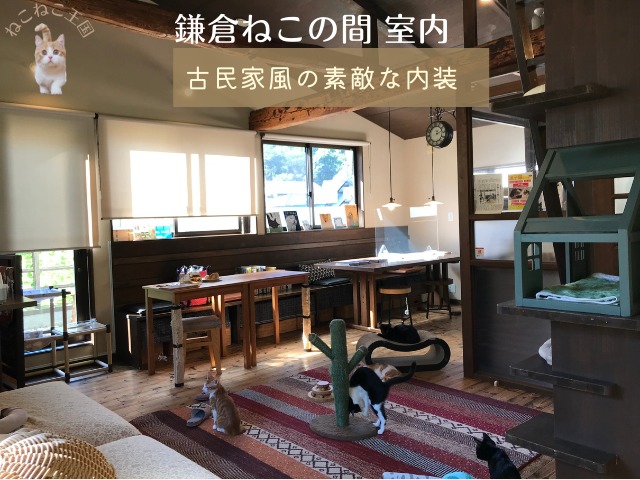 鎌倉ねこの間の内装と部屋の全体の様子。古民家風の雰囲気であることを節目する画像