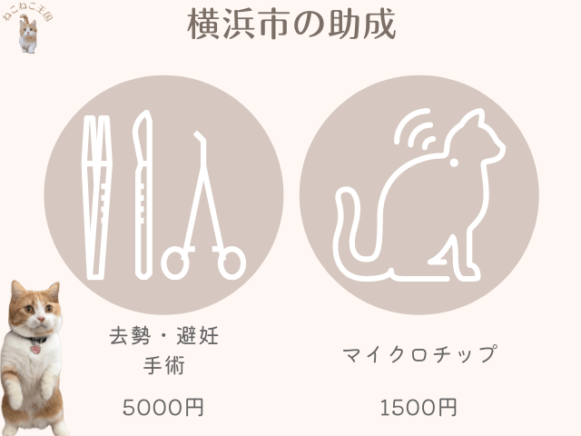 横浜市では飼い主がいない猫に去勢・避妊手術助成費用が５０００円、マイクロチップが１５００円である