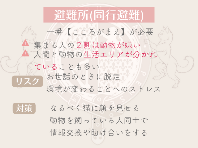 同行避難では二割の人が動物嫌いと言われている。人間と猫のエリアは分かれていることが多い。猫に安心してもらうためには顔をなるべく見せる、動物を買っている同士で情報交換する必要があることの説明