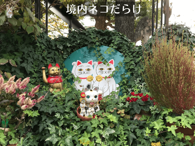 今戸神社の一角の写真。猫の置物や招き猫、猫の看板などがたくさん設置されていることを説明する画像