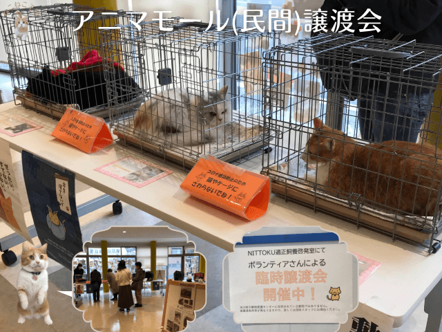 アニマモールかわさきで開催していた民間愛護団体による譲渡会。この日はチーム犬猫かわさきさんが主催していたことを説明する画像