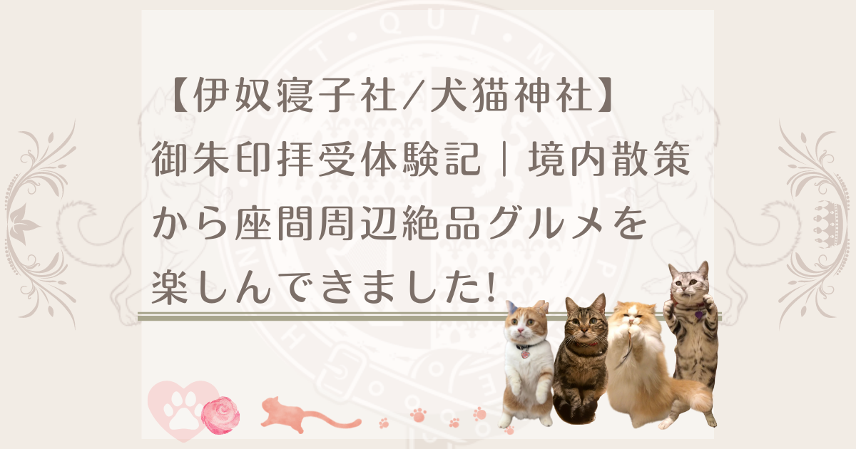 愛猫の通院移動用自転車としてペットポーターを購入してみてわかったこと7選 ねこねこ王国