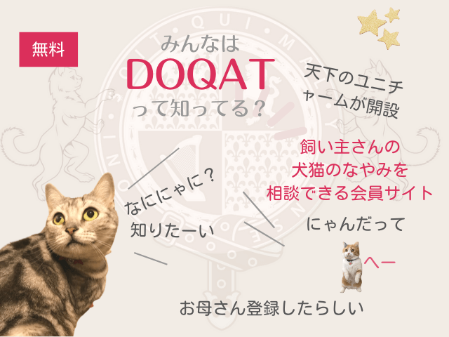 DOCATが飼い主さんの犬猫の悩みや質問を記入できるサイトであることを説明する画像
