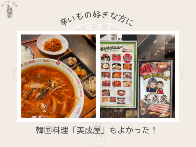 赤坂見附から歩いて5分程度のところにある「美成屋」の韓国料理、ユッケジャン定食の写真