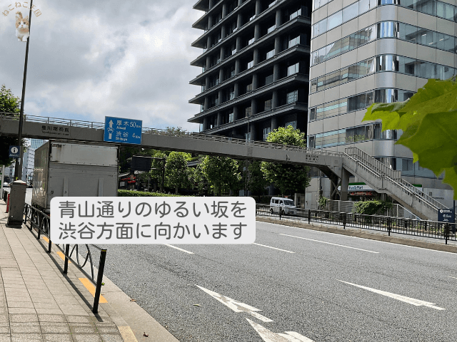 青山通りを赤坂見附荒歩いてしばらく（5分程度）のところの写真。厚木、渋谷方面への案内看板（青）が見える