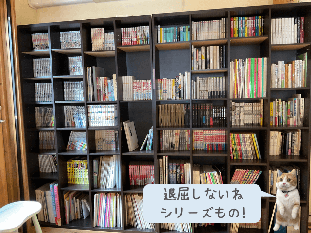 川島旅館の廊下や広いスペースにはたくさん本や漫画がおいてある写真