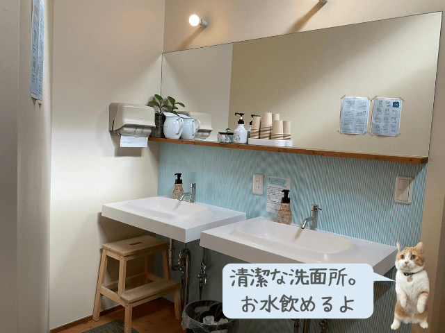 川島旅館の洗面所の様子