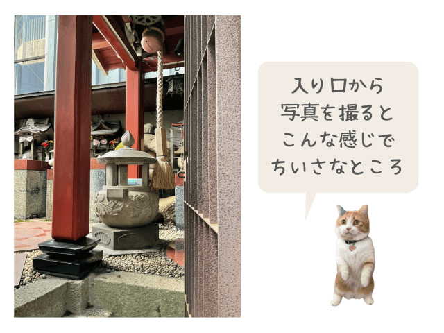 ミキ稲荷神社の入口入ってすぐのところで、小さなスペースに狛猫がちらりと見えている写真