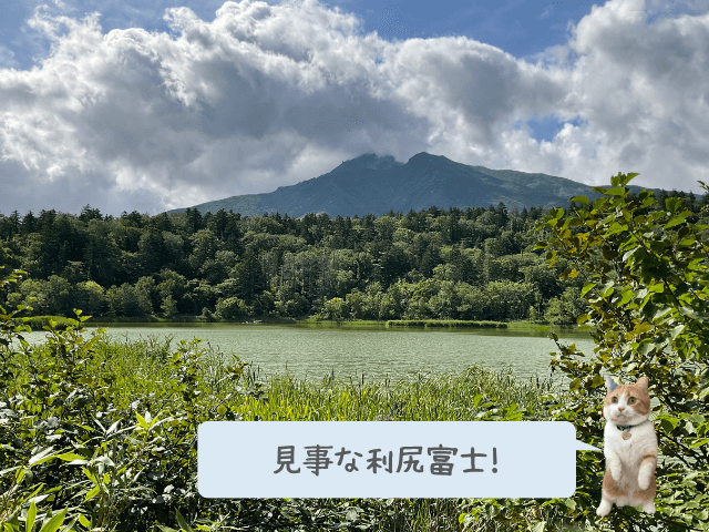 晴れているところに姫沼から見た利尻富士の写真