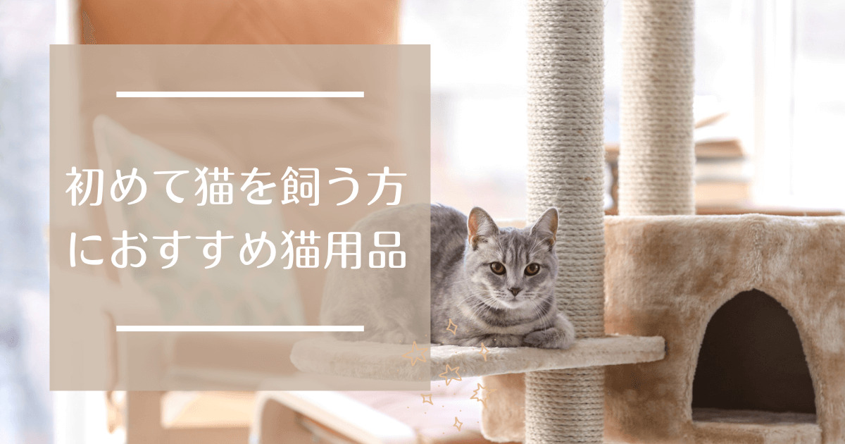 ねこねこ王国 | 保護猫との幸せな暮らしをクリエイトする