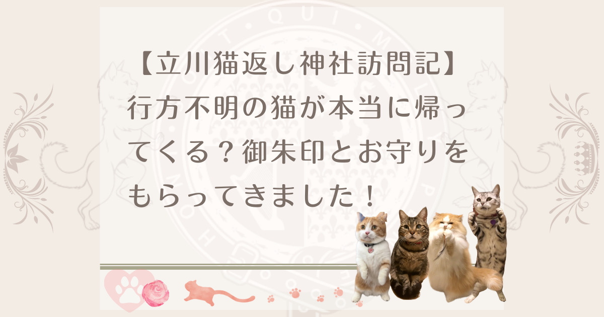 立川猫返し神社訪問記】行方不明の猫が本当に帰ってくる？御朱印と