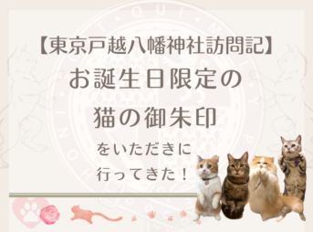 【東京戸越八幡神社訪問記】お誕生日限定の猫の御朱印をいただきに行ってきた！