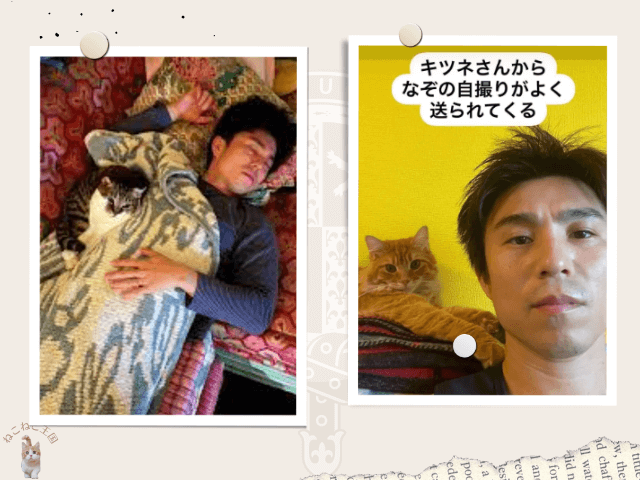 中尾明慶さんと猫