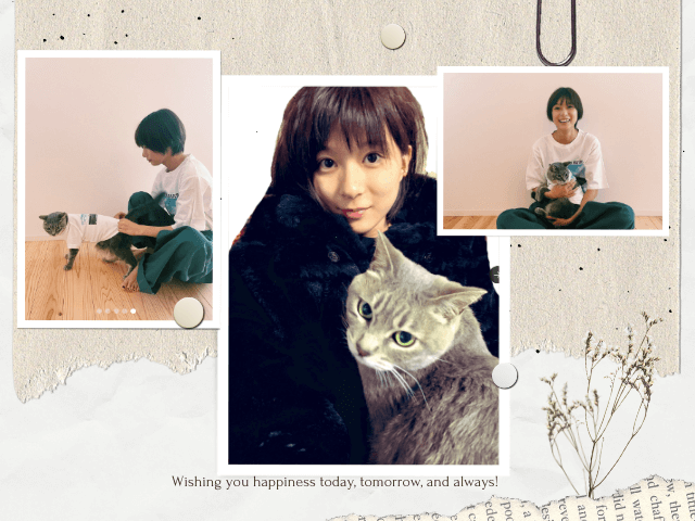 芳根京子さんと猫