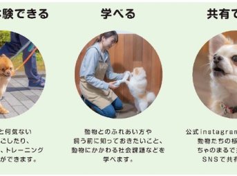 横浜保土ケ谷駅ビル「ちゃのまる」で動物と暮らすシェアリビング体験