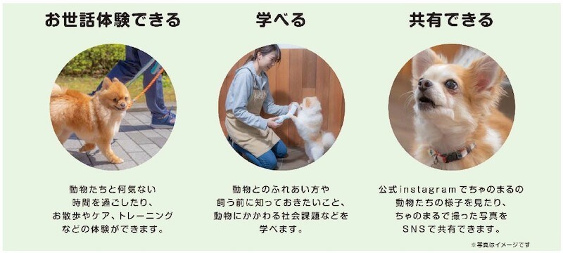 横浜保土ケ谷駅ビル「ちゃのまる」で動物と暮らすシェアリビング体験
