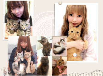 中川翔子と猫