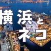 横浜と猫
